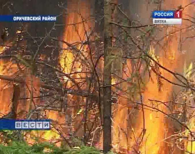 Лесной пожар