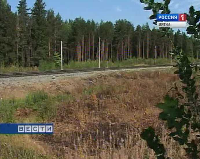 Лесные патрули