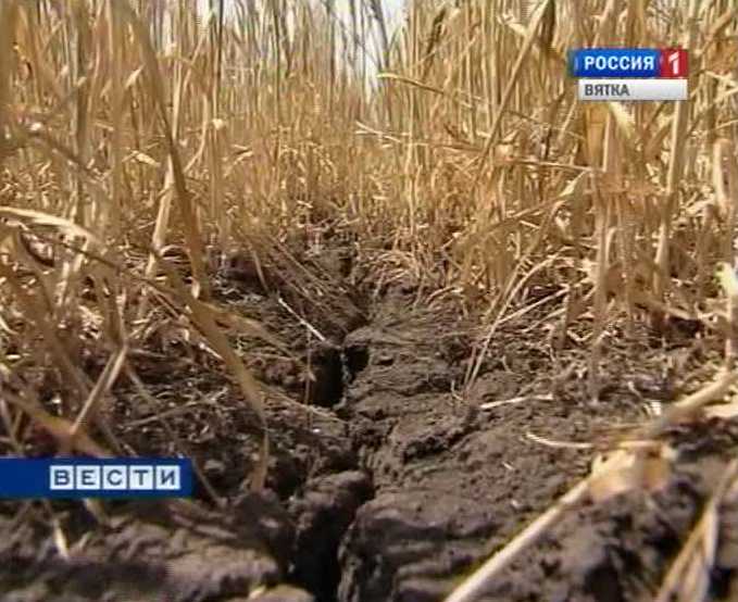 Засуха и цены