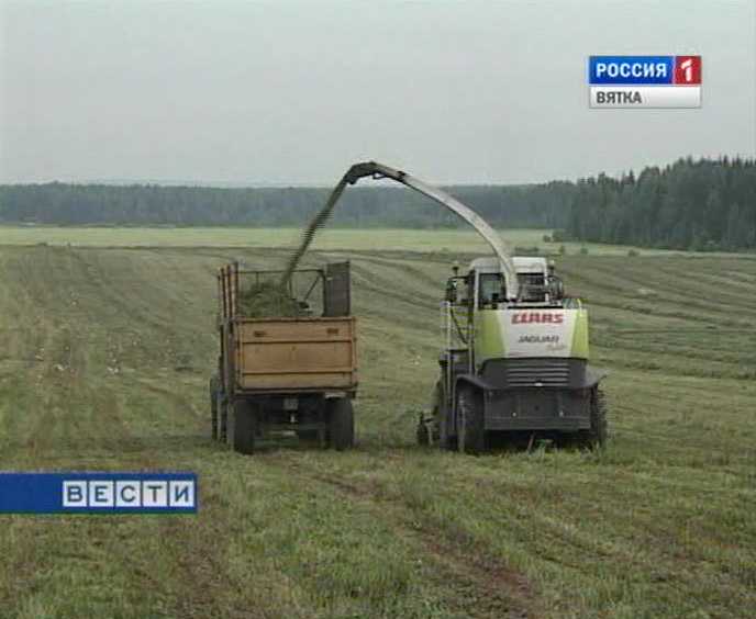 Совещание по заготовке кормов