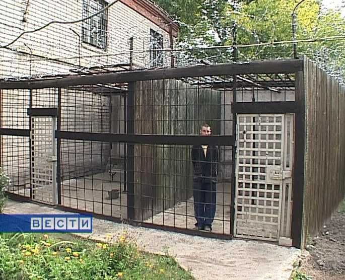 Иностранцы-нелегалы