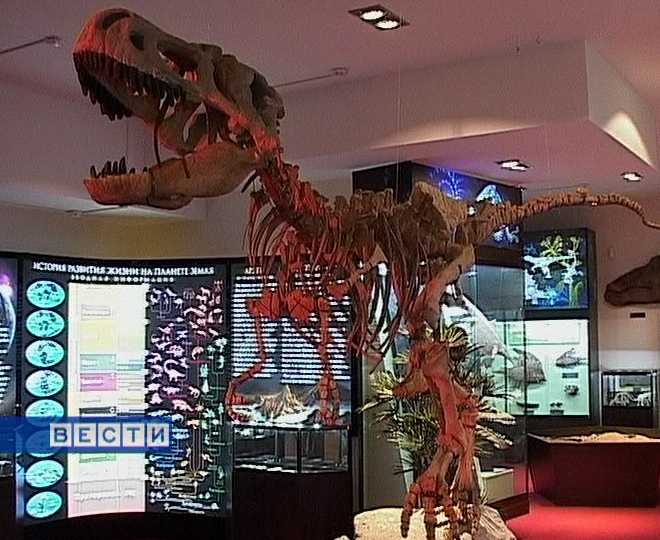 Парк Пермского периода