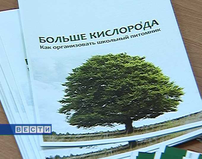 Молодежное экологическое движение