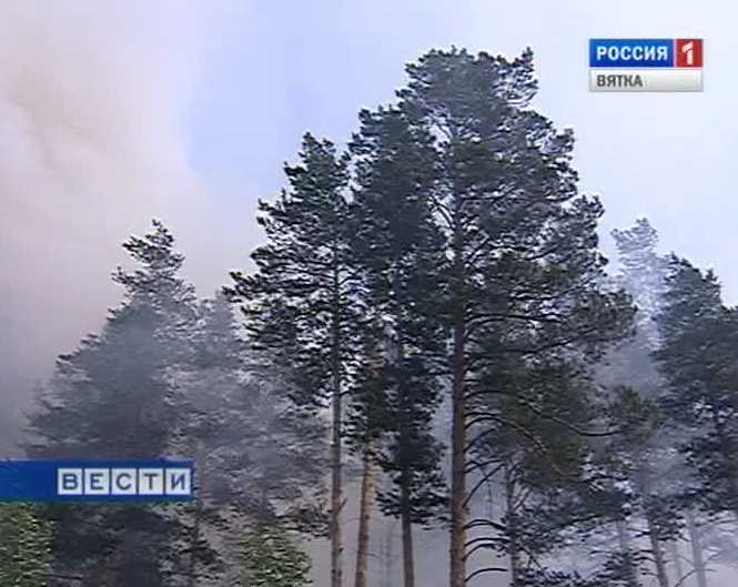 Изменения в лесном кодексе