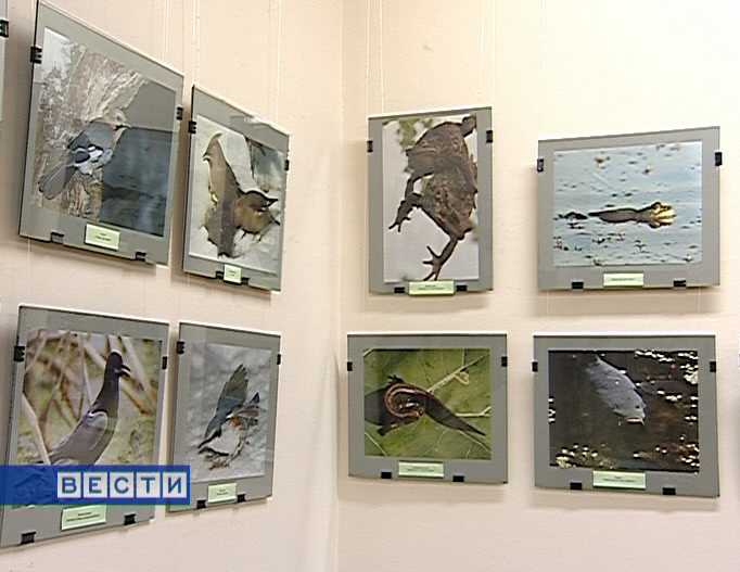 Выставка фотографа Владимира Арбузова