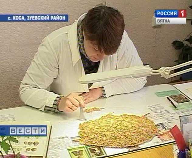 Опасность повилики