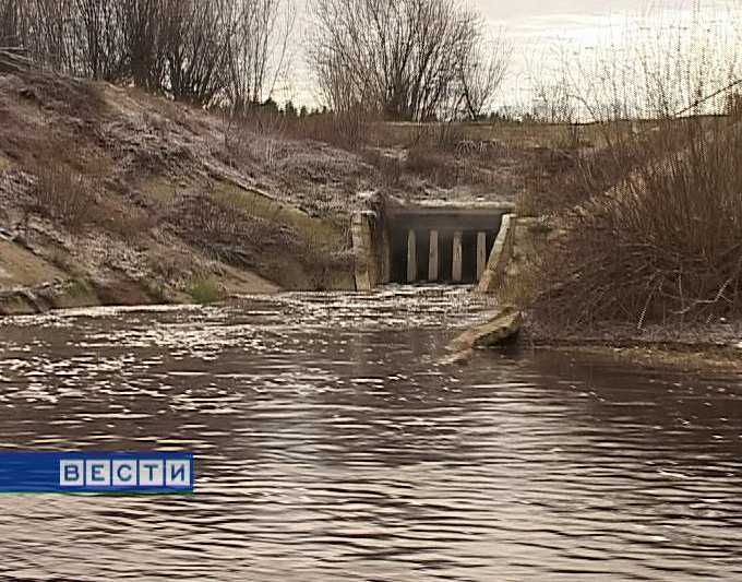 Экологи бьют тревогу