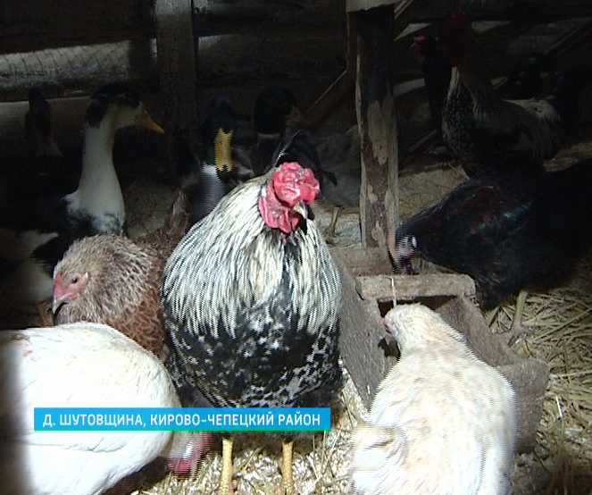 Сельский предприниматель