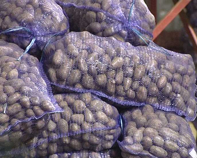 Импортные овощи и фрукты