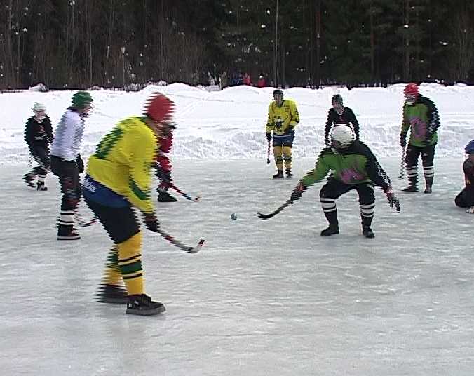 Необычный хоккей