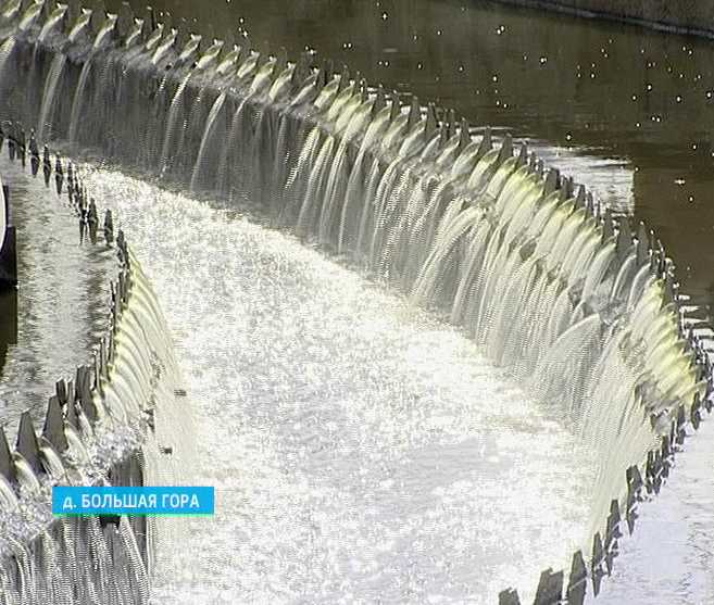 Очистка воды