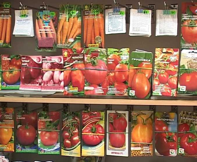 Качество семян