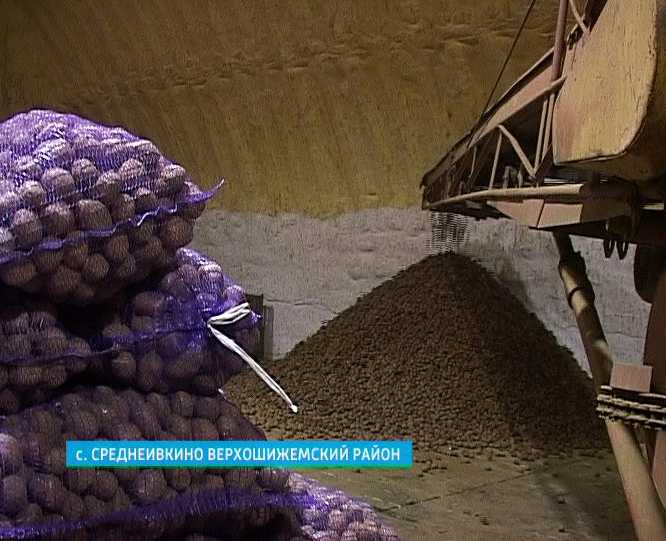 Опасность золотистой нематоды