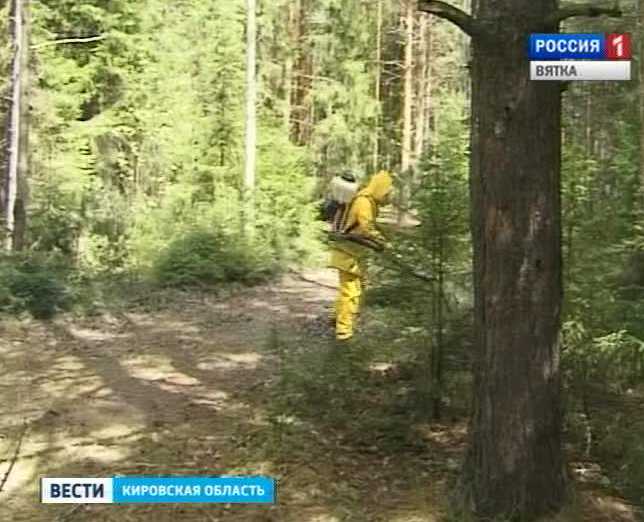 Клещи наступают