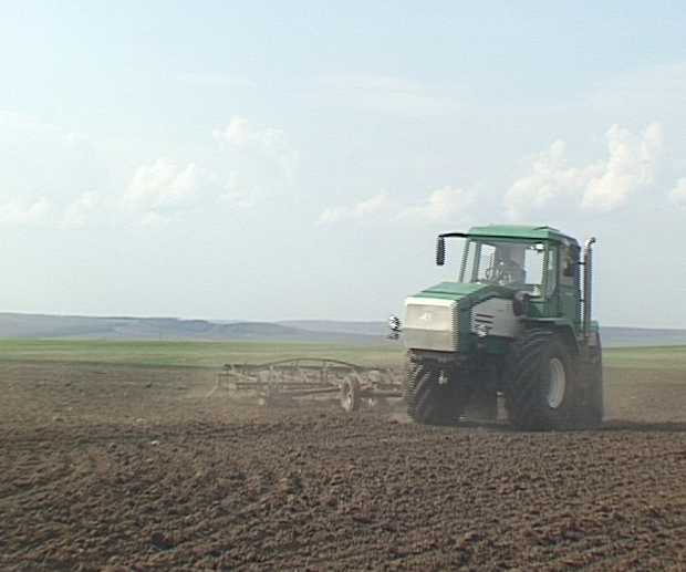 Весенний сев