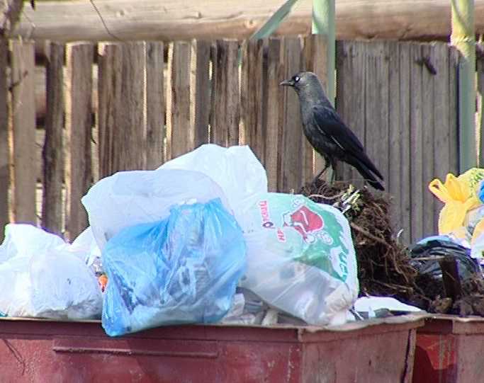 Благоустройство города. Начни с себя
