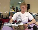 Выставка кошек