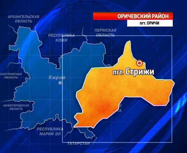 11 детей попали в больницу