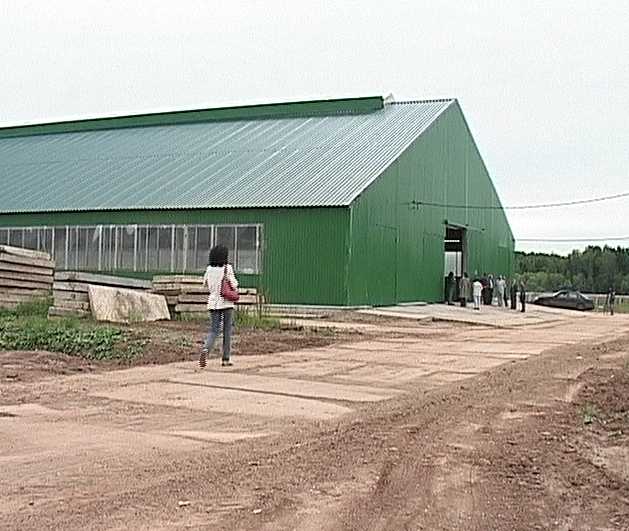 Новая ферма