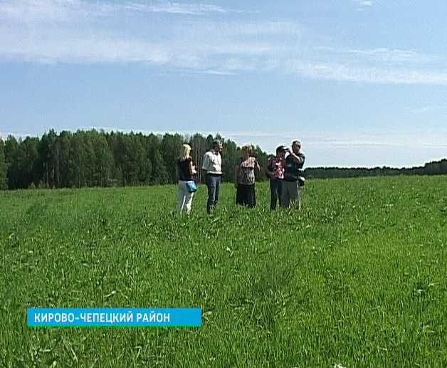 Борьба с сорняками