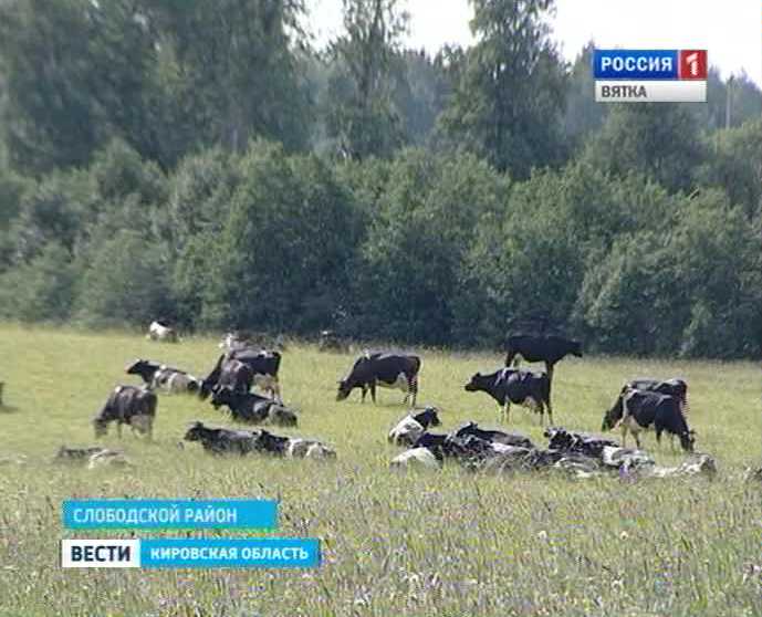 СПК «Красная Талица»