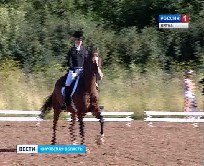 Чемпионат по конному спорту