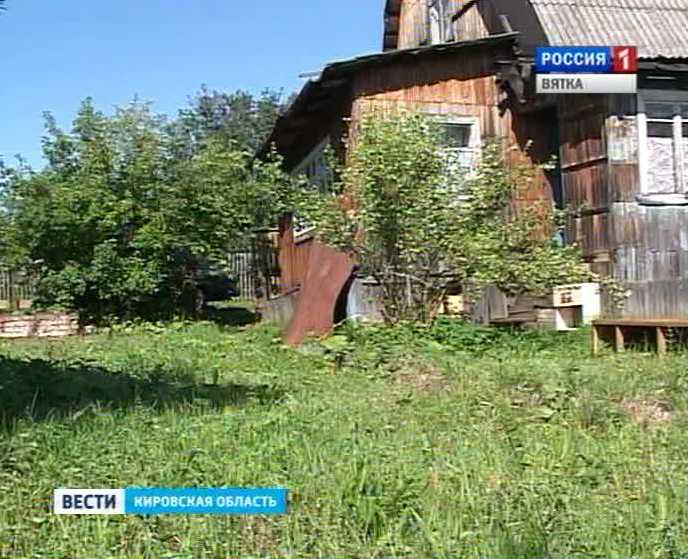 Трава по пояс