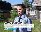 Трава по пояс