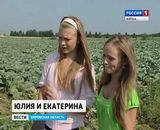 Трудовой лагерь