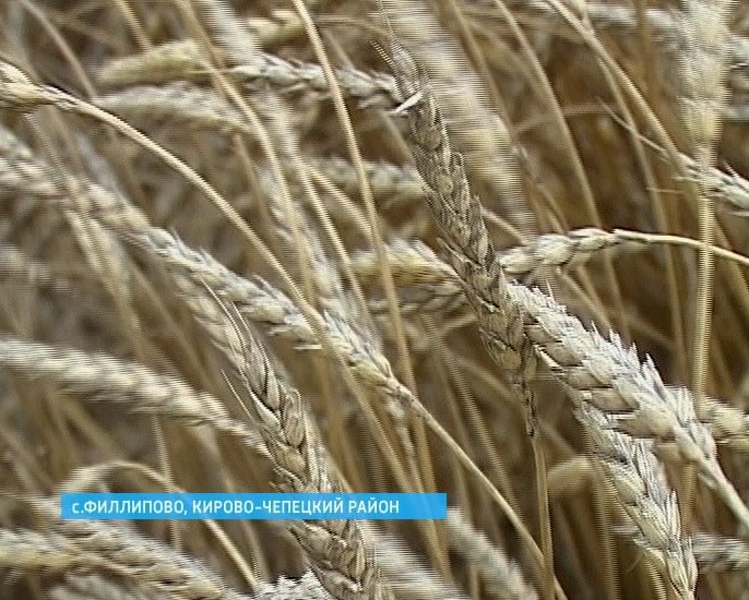 Апробация семян