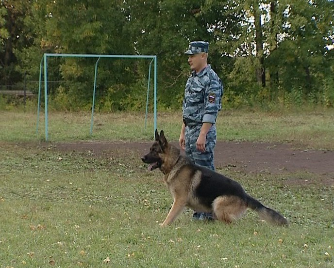 Кинологи в кировском интернате № 6