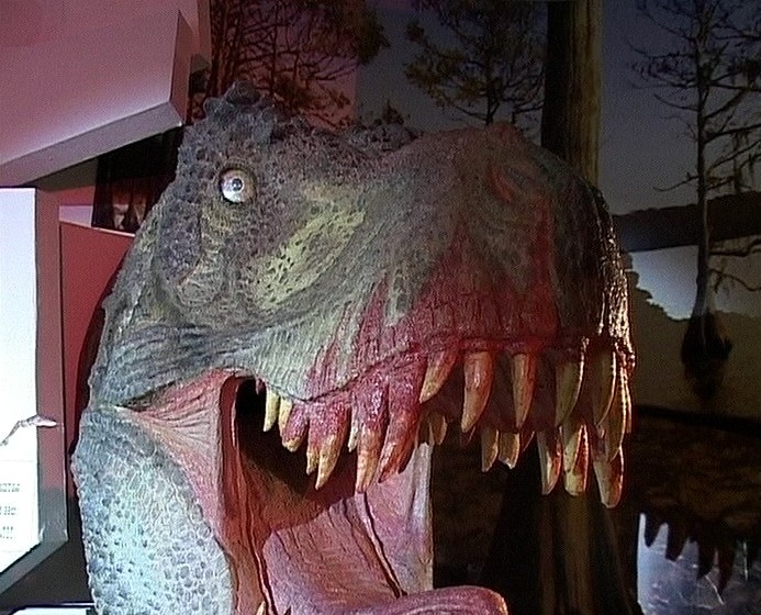 Гнездо динозавра