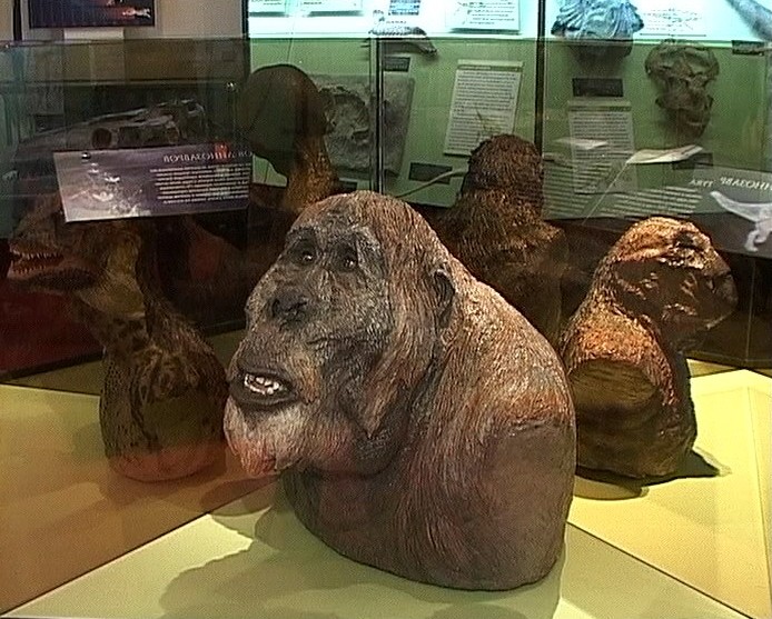 Альтернативная эволюция