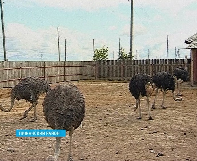 Туризм в Кировской области