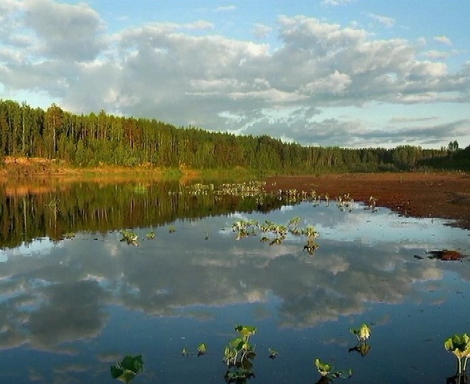 Итоги акции «Чистый водоем»