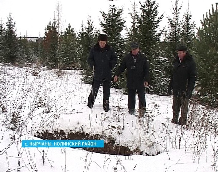 Куда пропали елки?