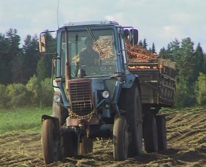 Алексей Котлячков о дотировании сельхозпроизводителей