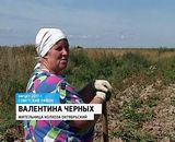 Пруд и полигон ТБО в Советске