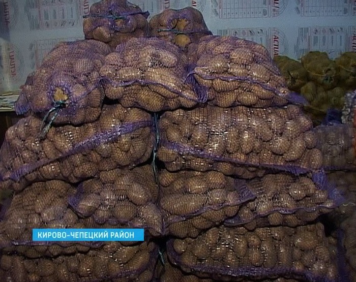 Проверка картофеля