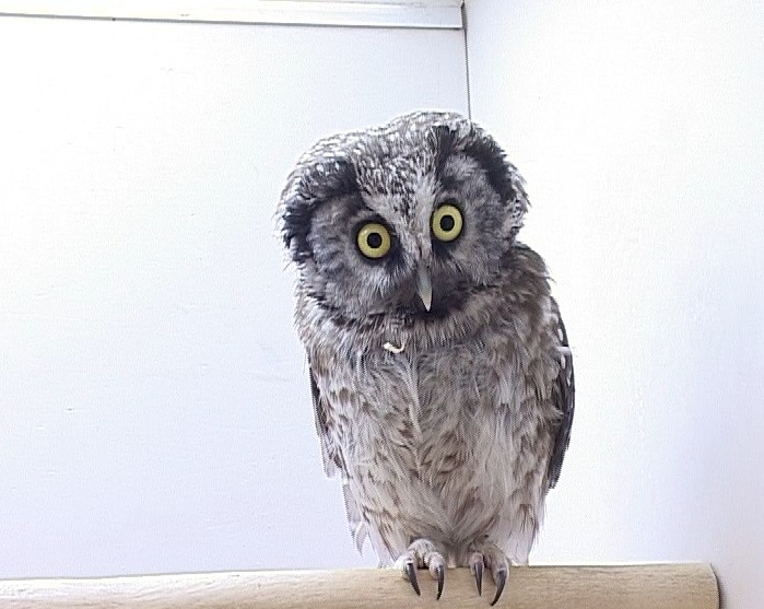 Выставка «Живая радуга»