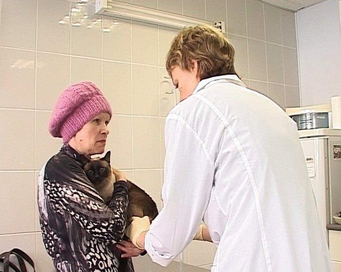 Лицензирование