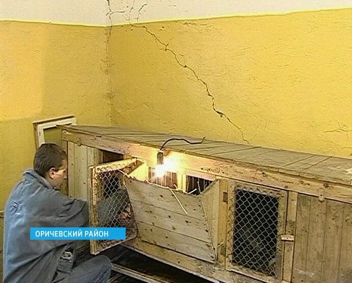 Центр социальной реабилитации «Новая жизнь»