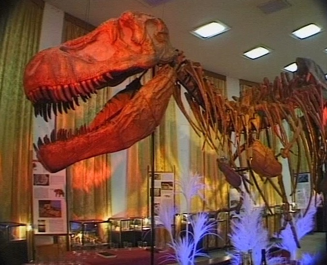 Ночь в музее