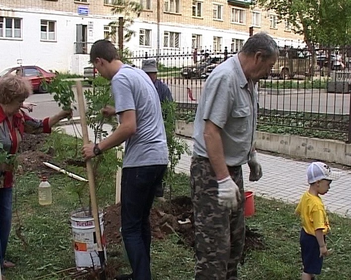 Двор цветов