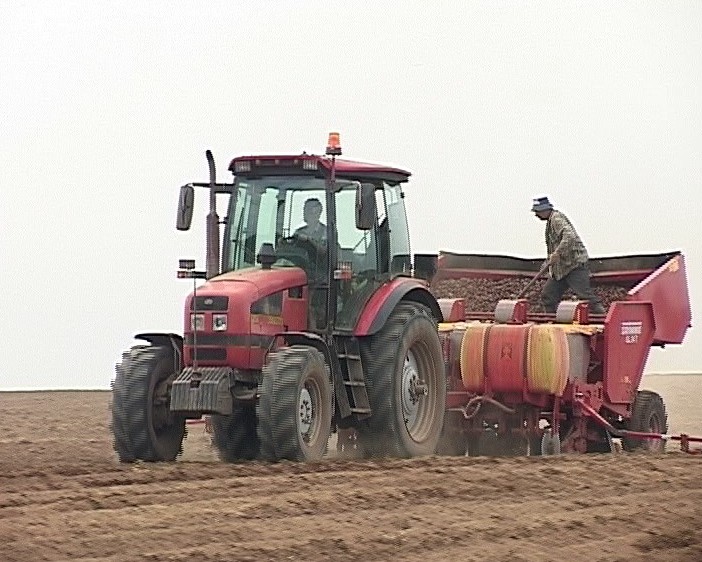 Посадка овощей