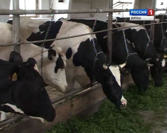 Сельхозпредприятие  «Ижевское»