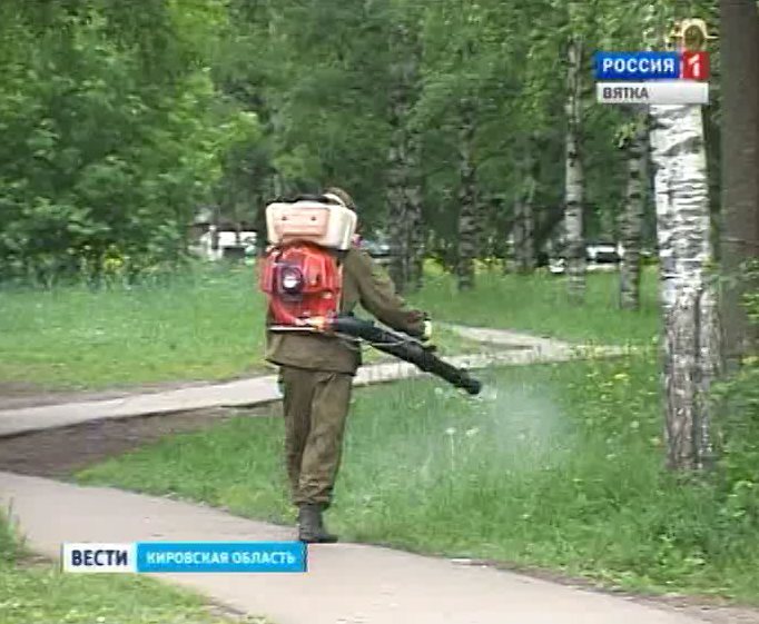 Обработка от клещей