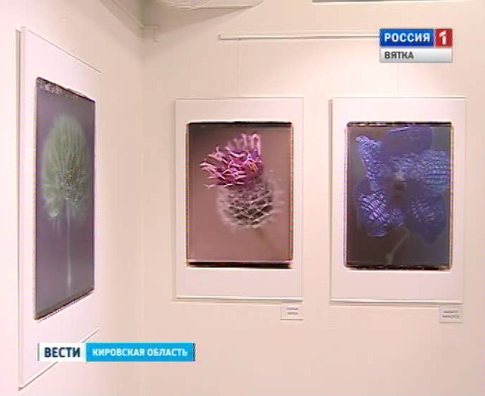 «Звезды как цветы»