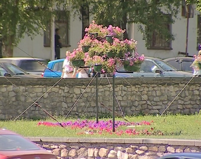 Благоустройство цветников