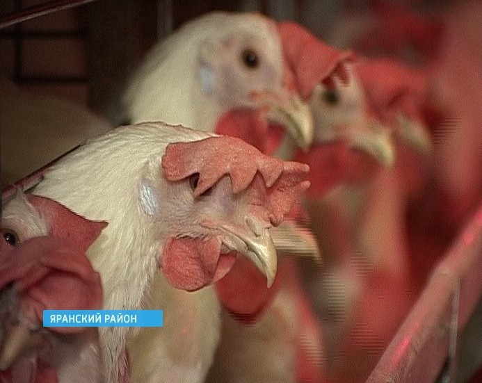 Возрождение производства в Яранске